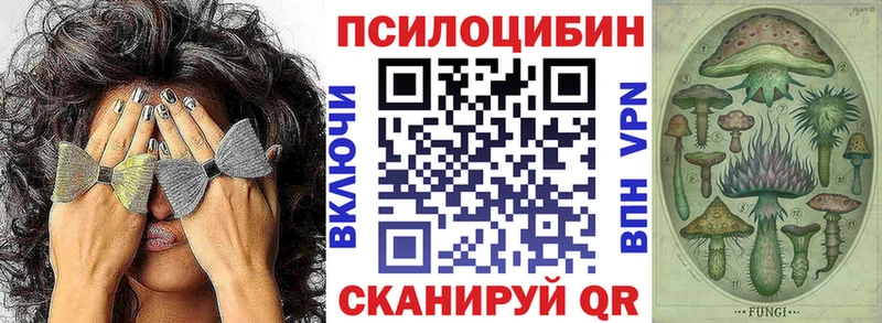 Псилоцибиновые грибы Psilocybine cubensis  Купить закладки  Сольвычегодск 